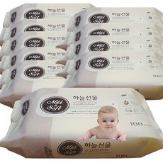 봄날애물티슈