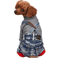 애견폴라폴리스올인원