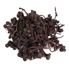 [신선약초] 국산 헛개열매 300g (헛개나무열매 지구자 지구목열매), 1개
