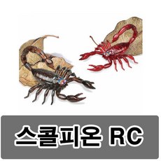 반디전갈