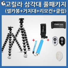 디카셀카봉