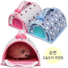 도치질문