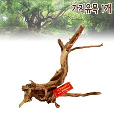 샘아쿠아 에이스 프리미엄 가지 유목 1개 (15~25cm), 15-25cm