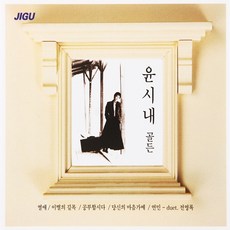 내장시디룸