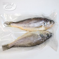제주고씨네