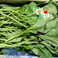싱싱 당일작업 아욱 2kg 4kg, 1박스, 아욱4kg내외