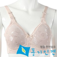 레이프릴풍기인견