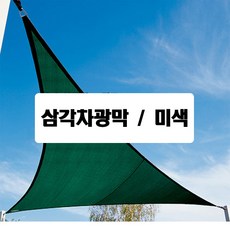 tltc점막