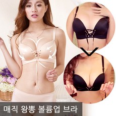 쉬즈업