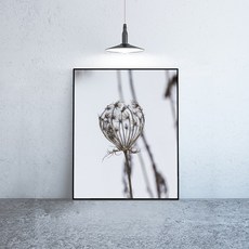 라이트사이클모프