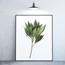 라이트사이클모프