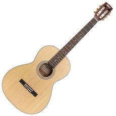콜트 통기타 L100P, NS