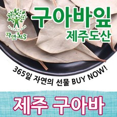 구아바잎차