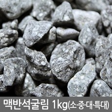 반도상사 자연촌 맥반석 굴림 1kg, 1개