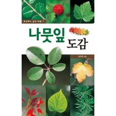 단군이야기삼성출판사