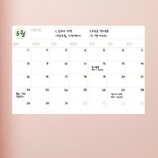 그린칠판시트