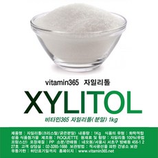 가톨리시즘