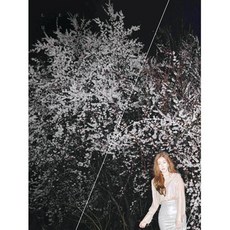 해리스타일스cd