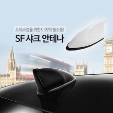 db6aafe8-5d28-44e3-9616-95ed94bf11cf.jpg