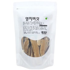 호미자루 영지버섯, 1개, 300g