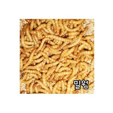 [도치퀸] 영양만점 살아있는 밀웜 고슴도치 간식 햄스터 간식, 200마리