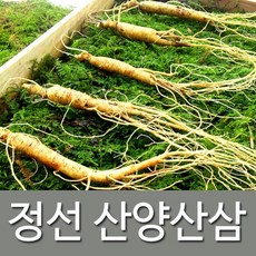 정선아리아리원