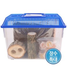 곤충나라 일반 장수풍뎅이 사육세트 특대, 일반 장수세트 특대