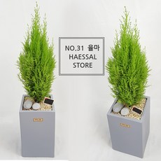 4af2723c-7417-47e5-9643-d55aa5a3f1b0.jpg