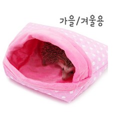 도치퀸겨울