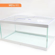 천일 거북이 어항, 화이트