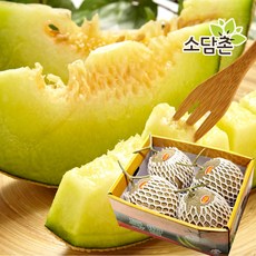 소담촌 머스크 메론, 1박스, 8kg내외 (3~4수) 대과