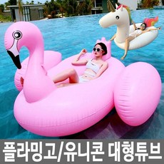 홍학튜브