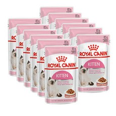 로얄캐닌키튼파우치그레이비