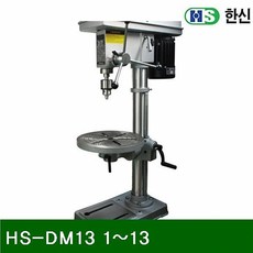 hsdm13