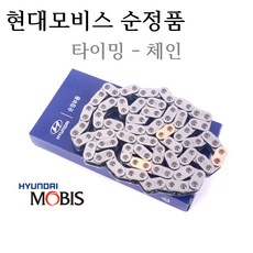 [순정타이밍체인]벨로스터15 가솔린/터보(2014년12월~) 품명:24321-2B620, 1개