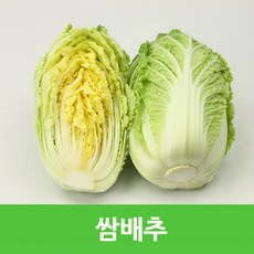 알배추8kg