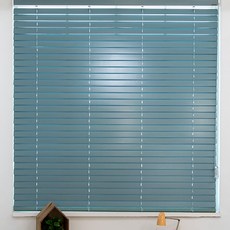 블라인드포러브