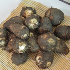 곡성 무농약 생 토란 4kg /2024년 햇토란 출하시작, 1박스