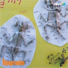 올빼미펠릿