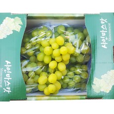 껍질재 먹는 경북 김천 고당도 샤인머스켓 망고포도 2kg(3~4송이), 1box