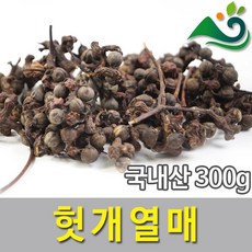 헛개나무열매300g두손애약초