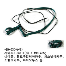어드밴쳐 앵무새 하네스 녹색 S SH-03, 1개