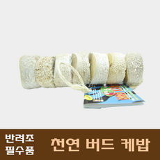 8fa8f58d-766e-4831-a25b-a2a7ff76b017.png