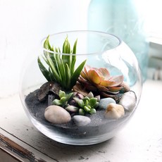 서울테라리움