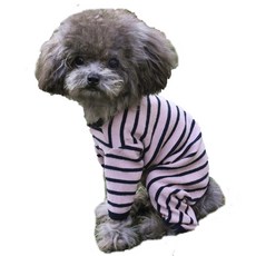 스니프올인원