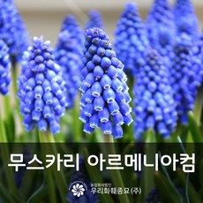 8068fcb8-0c9f-444f-a93a-e05d1ca56900.jpg