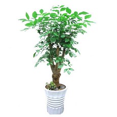 사무실이전선물