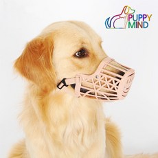 바스커빌입마개