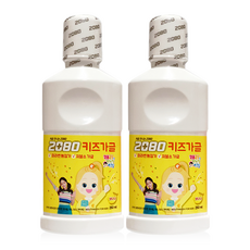 2080 애경 치과놀이 가글, 250ml, 2개