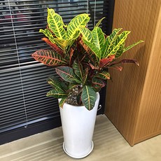 95a3d0ce-0317-4e55-b0dd-5b275c378b9a.jpg